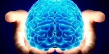 Дев’ять наукових фактів про мозок і ментальне здоров’я 