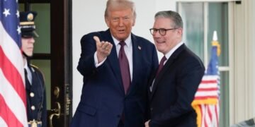 Трамп заявил, что подпишет соглашение с Зеленским по добыче полезных ископаемых