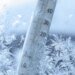 Возможны морозы до -21°С: на Украину движется арктическая воздушная масса