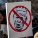 “Трамп – не король! Маск – никто!” – в США собираются стихийные митинги. ВИДЕО