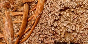 В Іспанії знайшли стародавню гробницю з 270 тисячами намистин