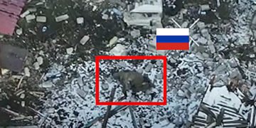 На Покровському напрямку в полон бійцям НГУ здалася група російських штурмовиків. ВІДЕО