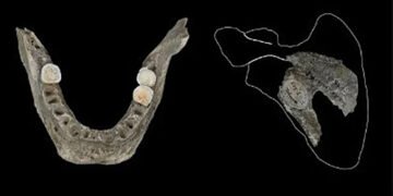 Моторошні ритуали: стародавні європейці поїдали мізки своїх ворогів