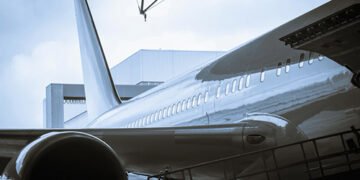 В Італії кіт заліз в електричний відсік літака: рейс затримали на два дні