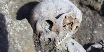 Дуже незвичайна знахідка: у Хорватії виявили останки тамплієра-вампіра