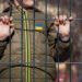 Росія за шість днів до повномасштабного вторгнення почала масову депортацію українських дітей, – Єрмак