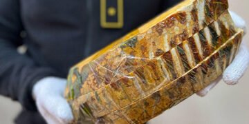 Жили в епоху плейстоцену: з України поштою намагалися відправити зуби мамонтів. ФОТО