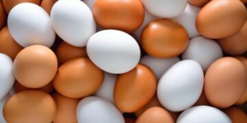 Вчені назвали продукт, який може знизити ризик передчасної смерті