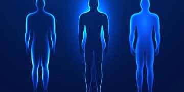 Чи може людське тіло повністю оновлюватися кожні сім років: учені дали нову відповідь