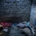 Amnesty International: Российские власти нарушают международно-правовые стандарты гуманного обращения во время войны