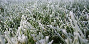 Морозы возвращаются: синоптики рассказали, где в Украине задержится тепло