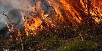 Масштабный пожар  в Одесской области:  ветра перекинул огонь на национальный парк. ВИДЕО