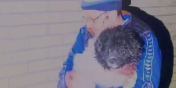 На Запорожье спасатели освободили собаку из-под завалов после атаки КАБами. ВИДЕО