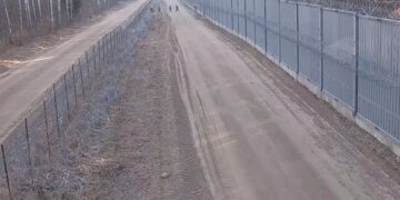 Нелегалы снова лезут через забор в  Польшу. ВИДЕО