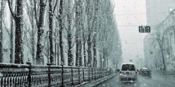 Трохи більше ніж три тижні: кияни пережили аномально коротку зиму