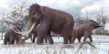 Вчені стоять на порозі відродження вимерлих істот: світ може знову побачити шість видів тварин