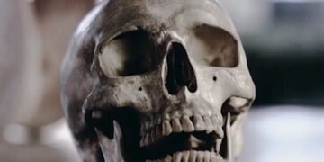 Заплутана історія: Homo sapiens походить від двох видів стародавніх людей