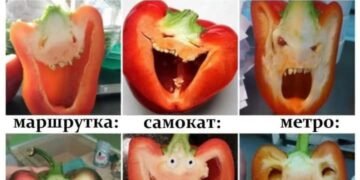 Підбірка блогожаб та фотоприколів від UAINFO за 14 березня