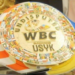Стало відомо, який “чемпіонський пояс” Усика Зеленський приніс у Білий дім