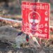 В Камбодже крыса-ищейка побила рекорд по обнаружению мин