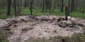 Военная тайна в лесу: в Польше нашли обломок боевого самолета