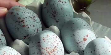 Через підвищення цін на яйця американці до Великодня почали фарбувати картоплю, цибулю та зефір. ВІДЕО