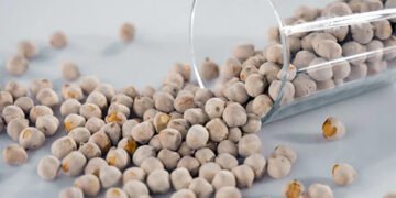 Різні для дітей і дорослих: учені розповіли, які білкові продукти продовжують життя