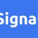ЗМІ: команда Волца створила щонайменше 20 чатів у Signal, зокрема щодо України