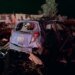 На США обрушился мощный торнадо: много погибших
