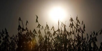 Південь України перетворюється на пустелю: кліматолог попереджає про небезпеку