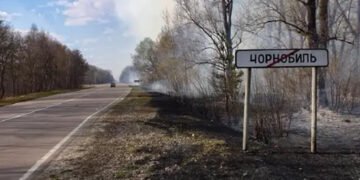 Радіація нижча за природню: на чорнобильських землях знову можна вирощувати врожай