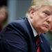 Трамп обіцяє продовжувати роботу з Україною та РФ для припинення війни