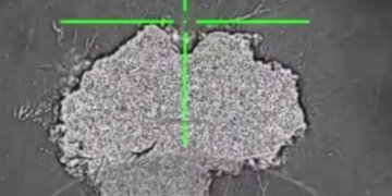 Украинская «Баба Яга» нанесла сокрушительные удары по российским войскам. ВИДЕО