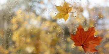 Осени не будет? В Укргидрометцентре сомневаются даже в ее сроках