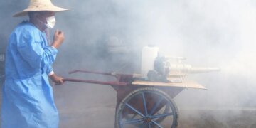 В Китае комары заражают тысячи людей вирусом чикунгунья: тысячи заболевших, насекомых ловят рыбами и дронами