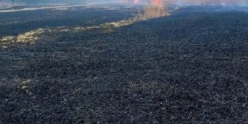 Российский дрон поджег пшеничное поле в Сумской области