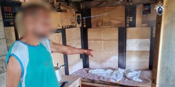 В Подмосковье фермеры избивали рабочего и заставляли подписать контракт с Минобороны