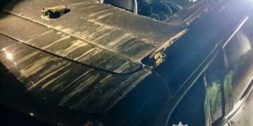 В Полтаве дерево упало на авто с женщиной и ребенком