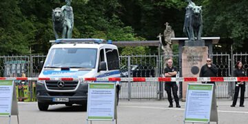 У зоопарку Нюрнберга через брак місця вбили 12 мавп: тепер директора погрожують убити