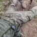 Українські військові разом з РДК відбили російський штурм: в полон потрапили 16 окупантів