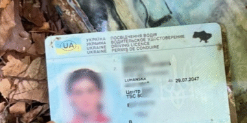 У Карпатах знайдено людські рештки: прикордонники — про трагічні наслідки невдалого перетину кордону