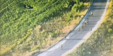 Бійці 93-ї бригади взяли в полон окупантів, які проникли вглиб українських позицій