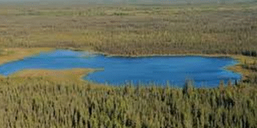 Величезне озеро зникло за ніч і супутник зафіксував рідкісну подію