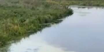 В Хмельницкой области заметили сброс неизвестных веществ в Южный Буг