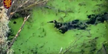 На Курщине россияне уничтожили своих солдат, которые хотели сдаться ВСУ