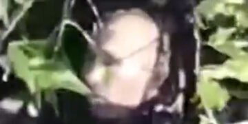 На Покровському напрямку бійці бригади “Спартан” ліквідували двійника Путіна. ВІДЕО