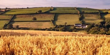 Агрохолдинг с землями в прифронтовых регионах привлек финансирование от Райффайзен Банка и ЕБРР.