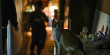 По Украине прокатилась волна экстренных отключений света: в Минэнерго объяснили, что происходит