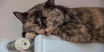 В 13 областях Украины стартовало подключение тепла к домам