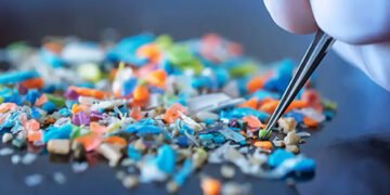 Знайшли у крові, мозку та кишківнику: вчені дослідили, як мікропластик змінює організм і психіку